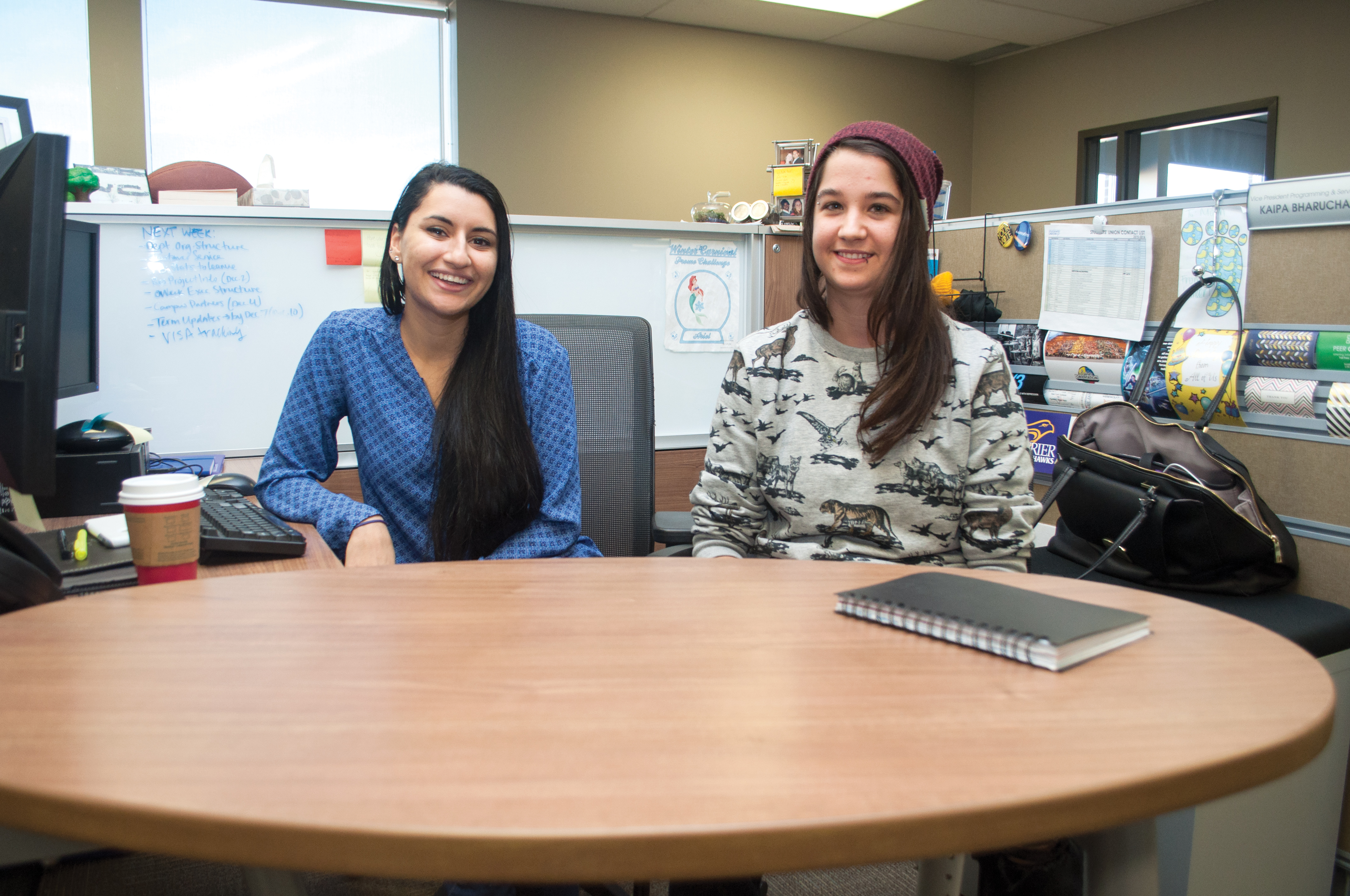 Wilfrid Laurier’s on-campus resources, such as the Student Wellness Centre and Peer Connect, are committed to helping students with issues of stress and depression during the exam period. 